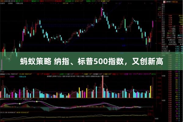 蚂蚁策略 纳指、标普500指数，又创新高