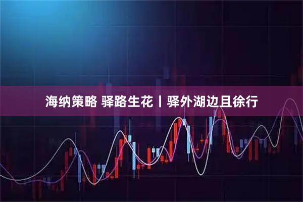 海纳策略 驿路生花丨驿外湖边且徐行